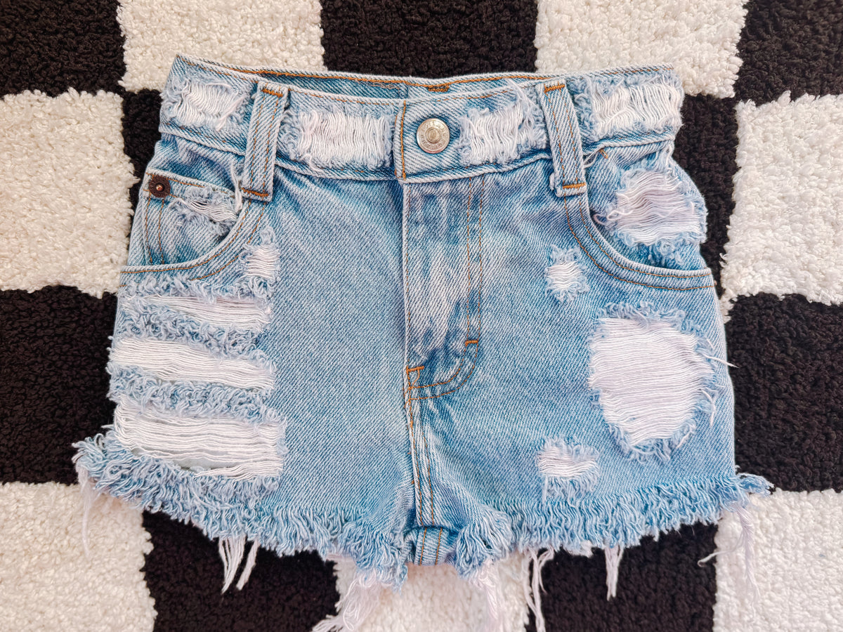 2t Vintage Shorts