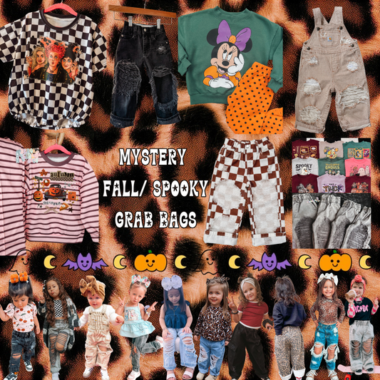 Mystery fall/ spooky grab bags 👻✨❤️‍🔥
